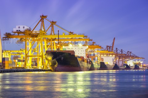 Haliloğlu Dış Ticaret 3