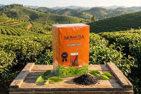 Morad Tea 2