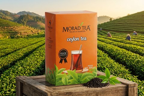 Morad Tea 8